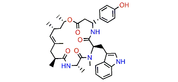 Jasplakinolide Q